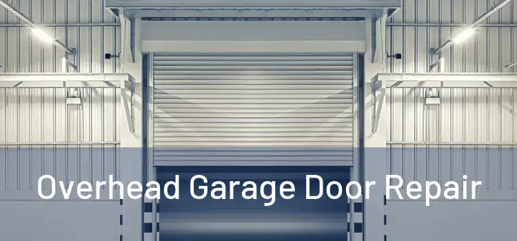  Overhead Garage Door Repair 
