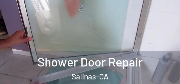  Shower Door Repair Salinas-CA